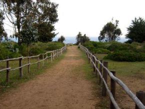 Mochileando por Chile. Día 9: Murales de Valparaiso y Playa de Quintay.