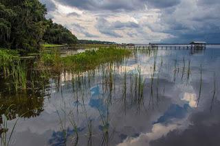Río St. Johns, Estados Unidos