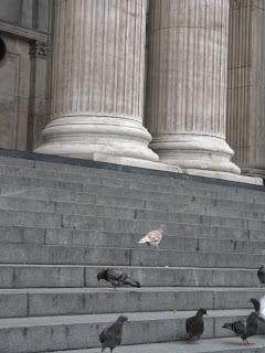 Cinema Lights in London