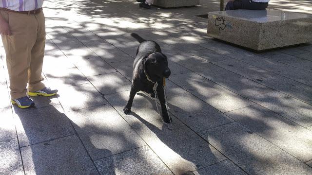 UN PASEO POR BARCELONA DIFERENTE...5-10-2013...