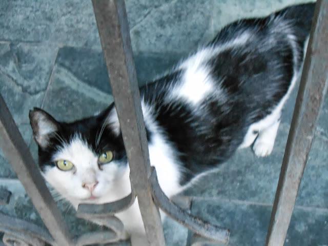 UN PASEO POR BARCELONA DIFERENTE...5-10-2013...