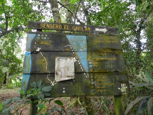 El Parque Nacional de Tortuguero y su increíble fauna