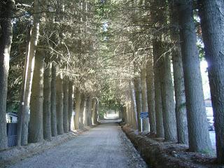 Los festejos del 5 de Octubre