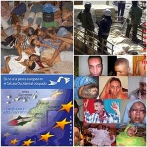 Sahara Occidental: DDHH y Acuerdo de Pesca