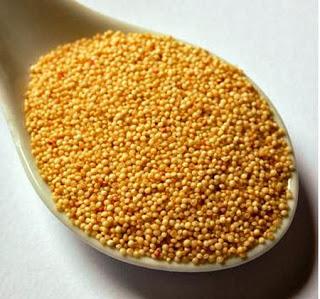 “El AMARANTO” el mejor alimento de origen vegetal para consumo humano !!