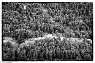 Berrea en el Alto Tajo