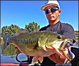 Sorpresas entre algas.