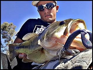 Sorpresas entre algas.