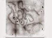 Complejo sinaptonémico