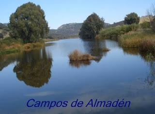 Video: campos de Almadén