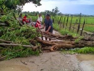Ventarrón afecta viviendas Boca de Cachón.