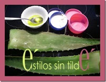 Crema corporal casera de Aloe Vera Crema aloe vera 1 thumb Crema corporal casera de Aloe Vera