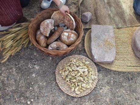 ¡Anerai visitantes extranjeros de Kelin!