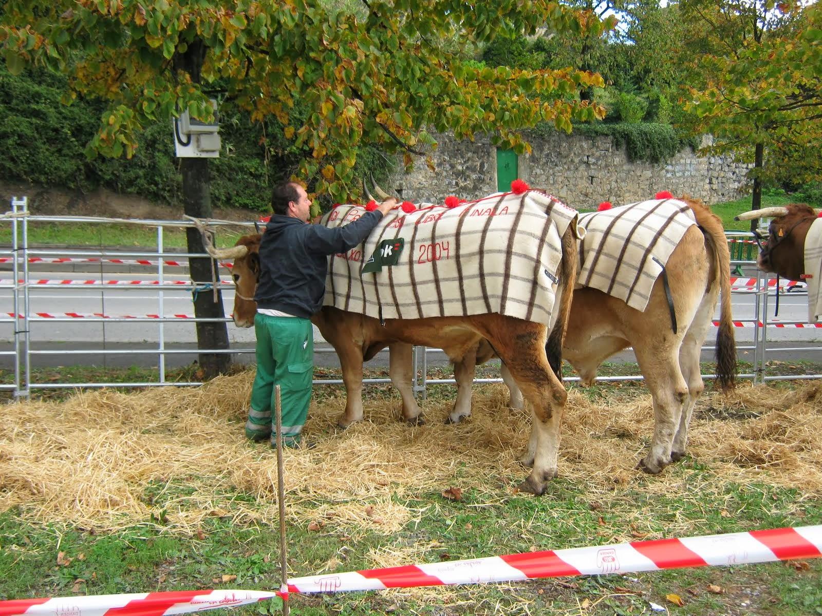 VIII Burdinjaia en Gallarta