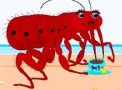 Picaduras garrapata precauciones tomar