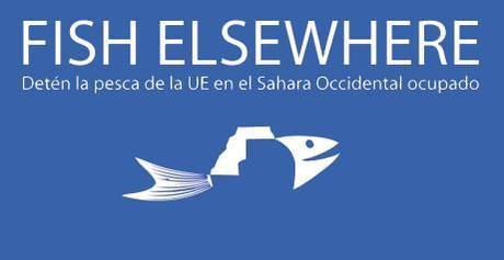 La Comisión Europea incumple el mandato del Consejo y del PE sobre DDHH