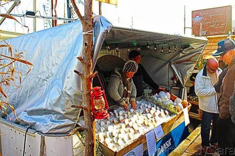 10 Cosas imprescindibles que debes ver en un día en Helsinki