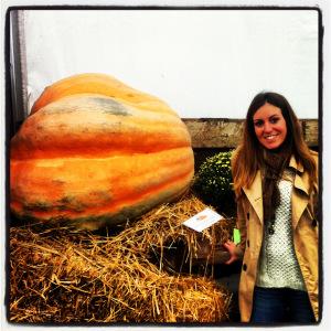 En la muestra de calabazas