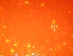 Imagen de Salsa picante