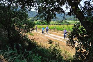 Finca Villacreces, enoturismo en bicicleta