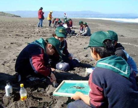 Científicos de la Basura  (Chile)