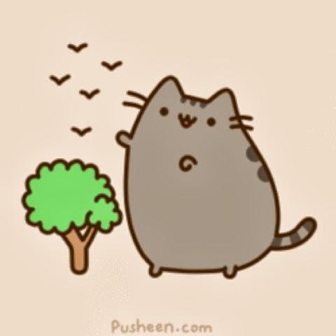 Pusheen: pero que linda Gatita!!!