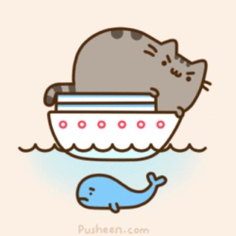 Pusheen: pero que linda Gatita!!!
