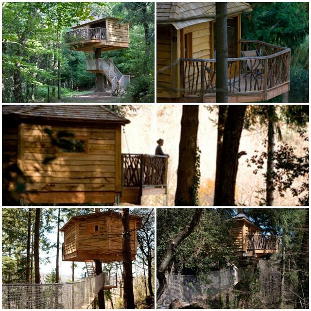 Cómo dormir en un árbol...#decojournal