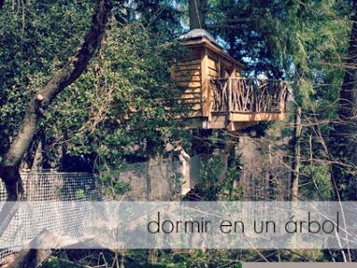 Cómo dormir en un árbol...#decojournal