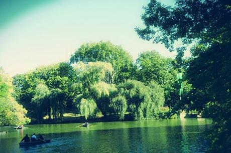 CENTRAL PARK ES AMOR