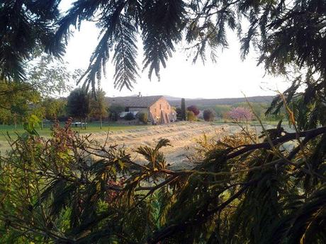 12355_383959695051474_407992116_n Crónica del 1er Finde Paleo en Mas Duran (1)