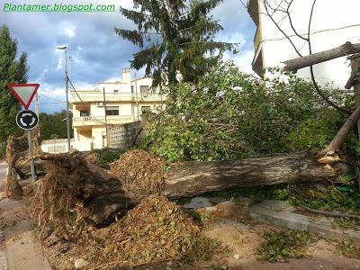 Tormentas y desastres en Manlleu, Barcelona