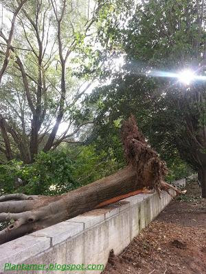 Tormentas y desastres en Manlleu, Barcelona
