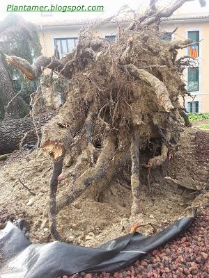 Tormentas y desastres en Manlleu, Barcelona