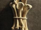 coleccionista Paul Cleave