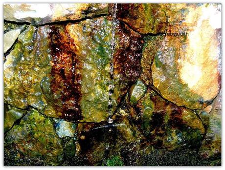 AUTUMN LEAVES BETWEEN AUTUMN LEAVES BETWEEN