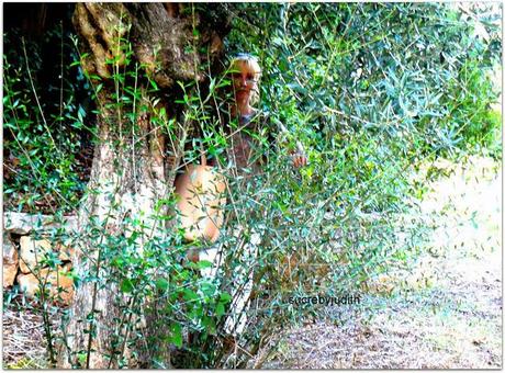 AUTUMN LEAVES BETWEEN AUTUMN LEAVES BETWEEN