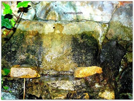 AUTUMN LEAVES BETWEEN AUTUMN LEAVES BETWEEN