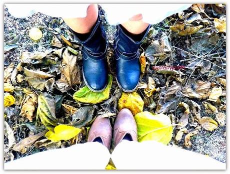 AUTUMN LEAVES BETWEEN