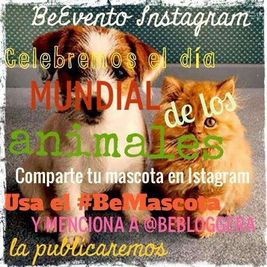 Conoce a los animales que celebraron su día junto a Be Bloggera