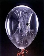  photo spider_balloon_halloween-thumb-180x226.jpg