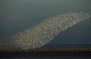  photo ojo_chatarra30_94_zpsd96803f3.jpg