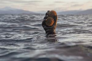  photo ojo_chatarra30_91_zpsbe5ff88e.jpg