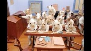  photo ojo_chatarra30_93_zps0c73bfea.jpg