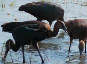 nuevo tendréis soportarme