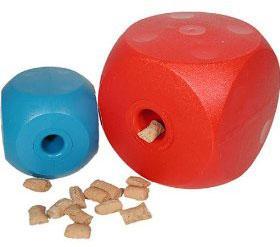 Ansiedad por separación en gatos cubo Buster