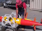 Robot submarino atacado gran tiburón blanco