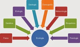 ¿Sabes qué es la  AUTOECOLOGÍA? Ana María Manceda