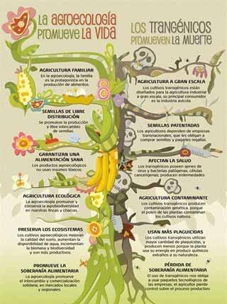 Pros y contras filosofía ecológica y transgénicos ¿tú qué opinas?