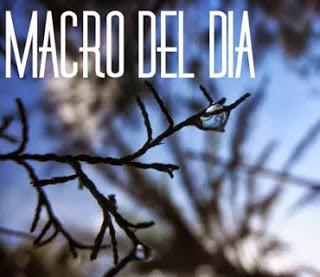 Blog hop: macro del dia ... rostros de otra epoca